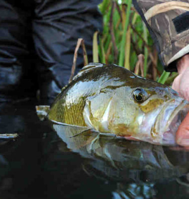 Fishing Zealand – Lolland-Falster