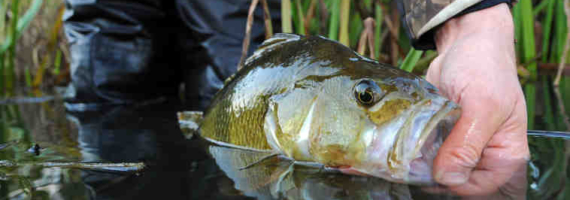 Fishing Zealand – Lolland-Falster